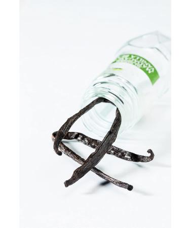 McCormick Gourmet All Natural Madagascar Vanilla Beans - 2 Count - Buy Online on GoSupps.com