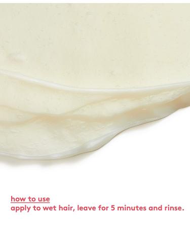 evo Mane Attention Protein Hair Treatment - Moisturizing & Repairing Formula - 1.1 Fl Oz - Buy Online on GoSupps.com