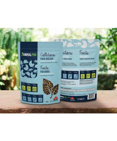 AnimalPro Crickets and Mealworms 454 g - 1 LB - Buy Online on GoSupps.com