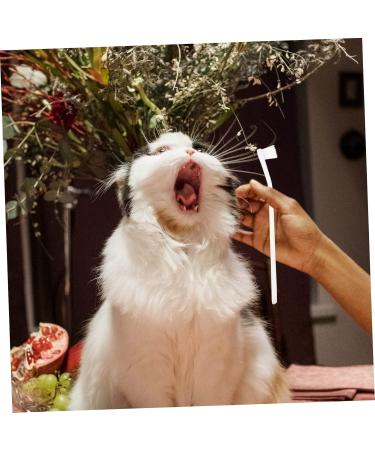 Angoily 2pcs Supplies Tools Cleaners Tooth Pets Teeth Manual Cat Portable Puppy Home Dog Care Soft-bristle 1 count (Pack of 1) White - Buy Online on GoSupps.com