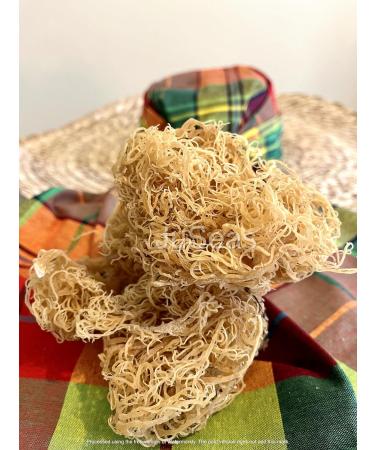 Premium Gold Sea Moss (Raw and Dried) | 100g (3.5oz) per Pack | 100% Organic | Natural Superfood for Health and Wellness - Buy Online on GoSupps.com