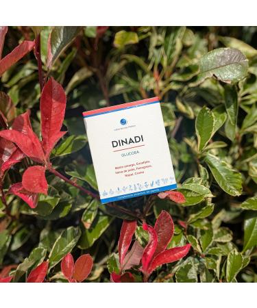  Laboratorios Mahen Dinadi 60 capsules - Buy Online on GoSupps.com