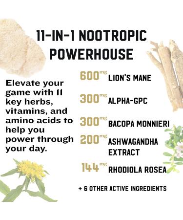 IRON KINGDOM ebrain Premium Nootropic. Increases Motivation and Focus Alpha-GPC Bacopa - Buy Online on GoSupps.com