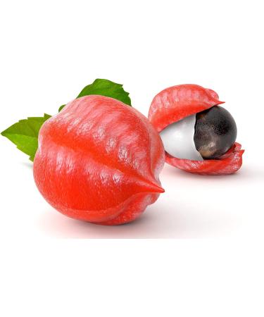 Jeske Sports Supplies Tasty Pott Organic Guarana powder guarana drink for vegan food energy powder natural booster make your own energy drink energy in bag 250 g - Buy Online on GoSupps.com