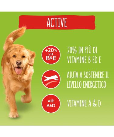 Purina Friskies Active Dog Food with Beef 9 kg - Buy Online on GoSupps.com