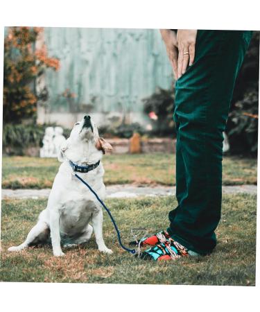 Angoily 3-Piece Dog Coupling Ground Anchor - Chrome Plated Metal Pet Tie Set (42x8.5x4cm) - Durable Silver Pet Accessories - Buy Online on GoSupps.com