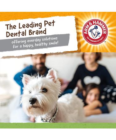 Arm & Hammer Treadz Gator Dental Toy for Strong Chewers - Large Size - Buy Online on GoSupps.com