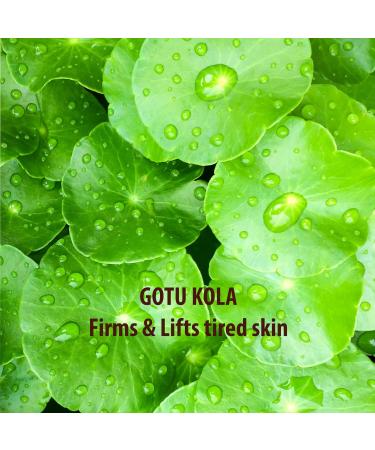 SUND RI Gotu Kola & Carrageenan Body Cleanser | Nourishing Skin Care | International Shipping Available - Buy Online on GoSupps.com