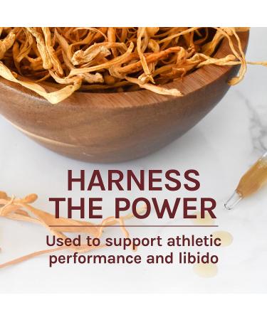 Host Defense Cordyceps Extract 1 fl oz - Energy & Stamina Support Mushroom Supplement - Buy Online on GoSupps.com