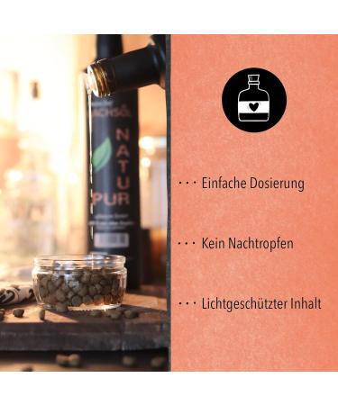 Salmon Oil for Dogs & Cats 250ml - Omega 3 & 6 Rich - Barf Fischl - Additive-Free Freshly Bottled in Germany - 100% Natural Pet Supplement - Buy Online on GoSupps.com