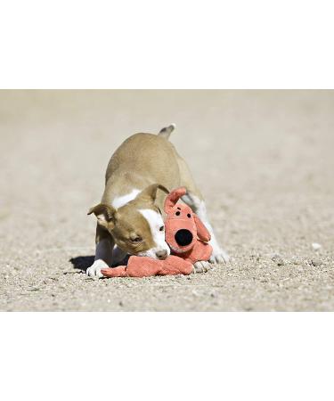 Multipet Loofa Plush Dog Toy - 6 inches (Colors May Vary) - Buy Online on GoSupps.com