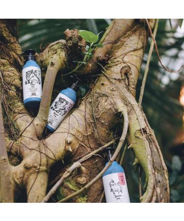 YOPE Champ | Para Cabello Graso | Olive | Para Uso Diario | Regula Gl ndulas Seb ceas | 98% Natural Ingredients | Formula Vegana | Olivo T Blanco y Albahaca | 400ml - Buy Online on GoSupps.com