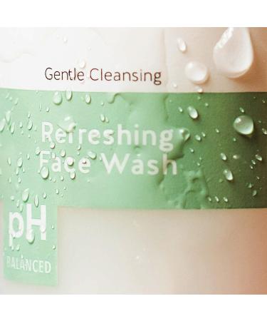 Alpha Skin Care Refreshing Face Wash - Anti-Aging Citric AHA Formula | Gently Cleanses, Purifies, Tones & Restores PH | For All Skin Types | 6 Fl Oz - Buy Online on GoSupps.com