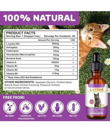 2 PCS L-Lysine Supplement for Cats, Immune & Respiratory Support Liquid with Natural Ingredients, Chicken Flavor Dietary Supplement for Skin, Coat & Eye Health, 2 fl oz - Buy Online on GoSupps.com
