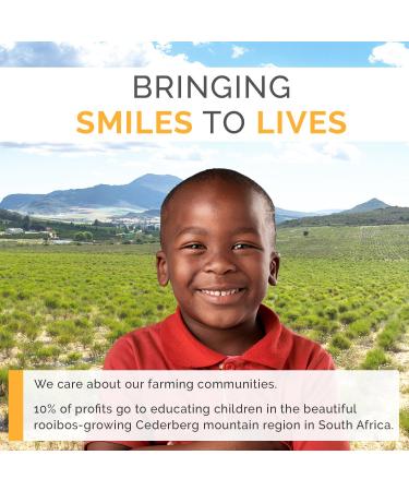 Organic Rooibos Herbal Tea - 80 Bags of Caffeine-Free Red Tea by HOUSE OF ROOIBOS - Buy Online on GoSupps.com