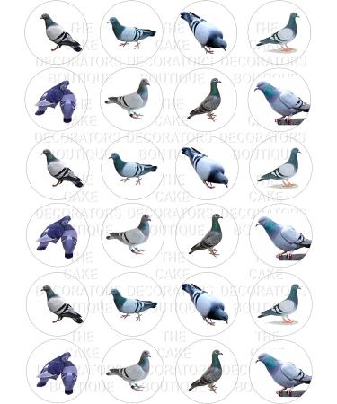 24 edible pigeons birds british wildlife kids childrens party decorations Iced/Icing Cupcake Topper Edible Fairy Cake Bun Toppers Round - Buy Online on GoSupps.com