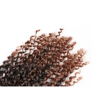 12 Inch Short Passion Twist Hair Marlybob Crochet Hair - 6 Bundles 12 Kinky Curly Crochet Hair for Black Women - Buy Online on GoSupps.com