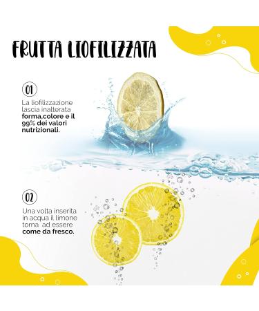 FRESH LEMON FRESH LYOPHILIZED - LEMONS FOR PROFESSIONAL COCKTAILS - HIGH QUALITY DRIED FRUIT - PASTRY ICE ICE - NO ADDED SUGAR - PACK 1 LITRE - Buy Online on GoSupps.com