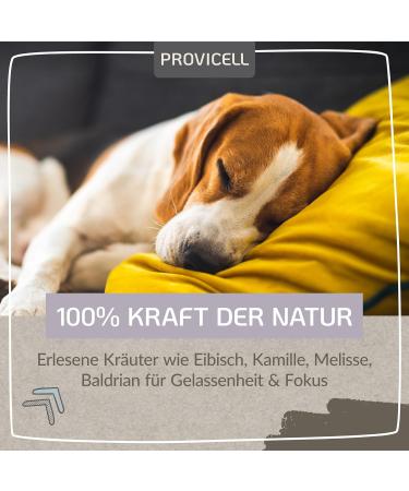 Provicell Relaxvital Powder 60g for Dogs | Natural Relaxation with Valerian & Lemon Balm | Vet-Developed in Germany - Buy Online on GoSupps.com