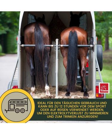 100% Natural Electrolyte Powder with Amino Acids for Horses | Hydrating Performance & Recovery Formula | 700g | Vitamins & Magnesium Included - Buy Online on GoSupps.com