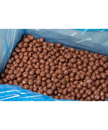 Snow Farms Chocolate Covered Blueberries Milk 11 lbs 11lbs - Buy Online on GoSupps.com
