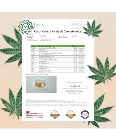 CBD Oil 10% - ApolloCBD - Full Spectrum - CBD - Premium Natural & Lab Tested-10ml-250 drops - Buy Online on GoSupps.com