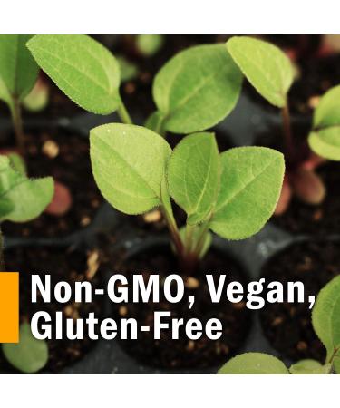 Herb Pharm Yarrow Flowering Tops Liquid Extract - 1 fl oz - Pure and Potent Herbal Supplement - Buy Online on GoSupps.com