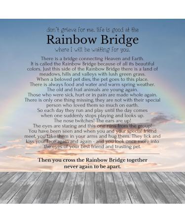 HOPE LOVE SHINE Rainbow Bridge Pet Memorial Necklace - Dog Sympathy Gifts Loss of Pet Cat Memorial Jewelry for Women & Men - Dog Dad & Dog Mom Necklace for Death of a Pet - Cat & Dog Memorial Gifts SILVER - Buy Online on GoSupps.com