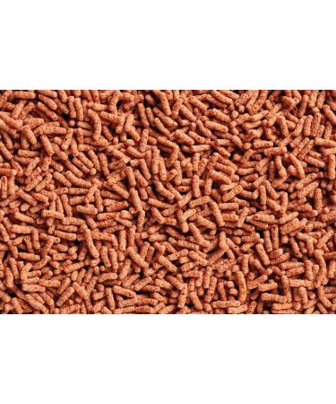OASE Dynamix Sticks Colour 8 L Fish Food Pond Fish Food Intense Shine and Colour in Red Fish Regular Growth - Buy Online on GoSupps.com