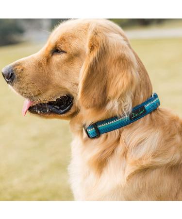 Dazzber Martingale Dog Collar for Medium & Large Dogs - No Pulling Durable Nylon Adjustable 43.2-63.3 cm Turquoise Green 1 Inch Wide - Buy Online on GoSupps.com