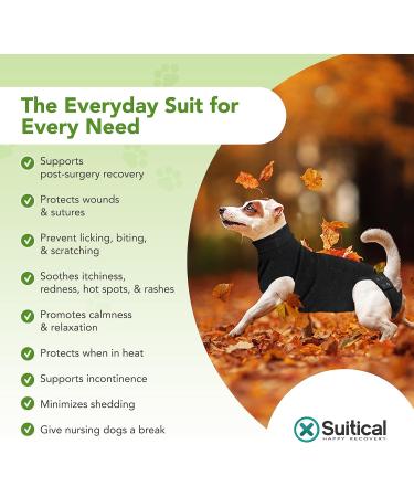 Buy Suitical Recovery Suit for Dogs - M+ Size in Black | Ideal Post-Surgery Pet Wear - International Shipping Available - Buy Online on GoSupps.com