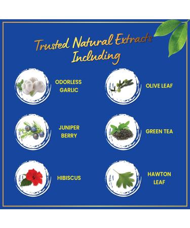 Blood Pressure Support Supplement - Green Tea Hibiscus Hawthorn Garlic - Blood Pressure Vitamin Mineral and Activated Naturals - 3 Month Supply 90 Capsules - Buy Online on GoSupps.com