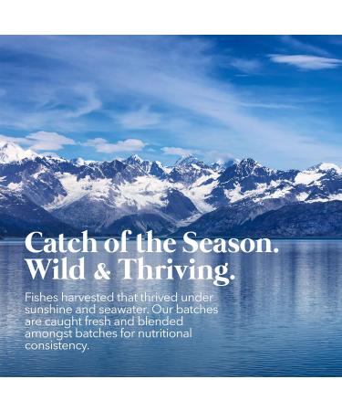 PETPAL - Pure Wild Caught Fish Oil for Dogs & Cats - All Natural Sustainably Caught Supports Joint Function Pet Immune & Heart Health Healthy Skin & Coat - Omega 3 6 9 Super Food (8oz / 240mL) - Buy Online on GoSupps.com