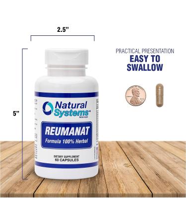 Reumanat Joint Support Supplement - 60 Capsules, 100% Herbal by Natural Systems | Joint and Bone Strength for Active Men and Women - Relief from Joint Discomfort - Buy Online on GoSupps.com