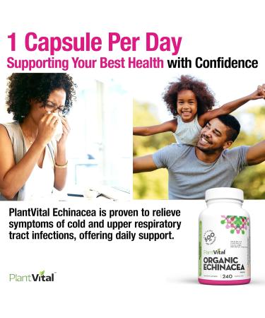 PlantVital Echinacea capsules 500mg Source of Vitamin C and Zinc Treatment for respiratory tract infections Helps relieve cold symptoms 240 capsules Vegan non-GMO. Made in Canada. 240 count (Pack of 1) - Buy Online on GoSupps.com