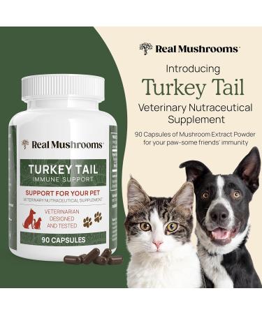Real Mushrooms Turkey Tail Powder for Humans (45 Servings) & Turkey Tail for Pets (90ct) - Powder & Capsules Bundle for Immune Support - Vegan Non-GMO Grain-Free Gluten-Free - Buy Online on GoSupps.com