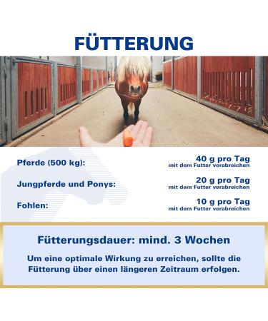 EQUIPUR - strong zinc 1 g - Buy Online on GoSupps.com