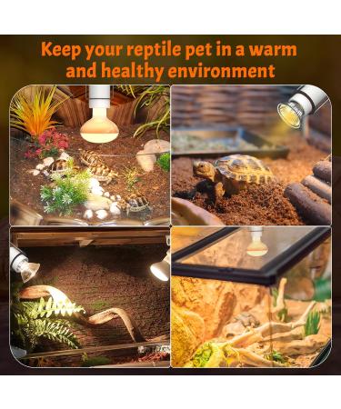 Luxvista Pet Heat Lamp Holder Ceramic Heater Bracket for Reptiles Tortoise Pet Heat Lamp with 2 Pack 50W E27 Heat Lamp Bulb - Buy Online on GoSupps.com