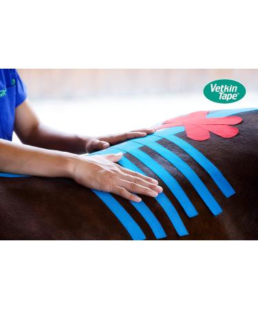 VETKIN VetkinTape - Blue Veterinary Kinesiology Tape for Horses & Dogs | Latex Free T V Certified 4 inch Roll | Top Equine & Canine Kinesiotape - Buy Online on GoSupps.com