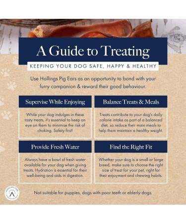 Hollings Pig Ears Dog Treats 100% Natural Air Dried Long Lasting Chews for Adult Dogs Grain Free & High in Protein (20 Loose) 20 count (Pack of 1) - Buy Online on GoSupps.com
