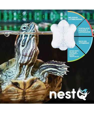 10 Turtle Blocks Odor Control Water Purification & pH Balance with Vitamin B1 Ideal for International Shipping - Buy Online on GoSupps.com