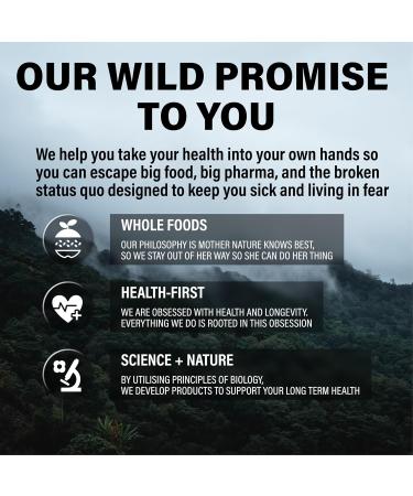 Wild Methylated Multivitamin for Women & Men | Daily Multi Vitamin | MTHFR Supplement Without Iron | Methylated B12 Folate Vitamin C A K2 D E Choline Biotin ALA CoQ10 & More (60 Capsules) 60 Count (Pack of 1) Men/  - Buy Online on GoSupps.com