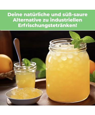 Curly Superfood Original Water Kefir Crystals 30g - Bio Easy Instructions & Success Guarantee - Enhance Your Probiotic Experience - Buy Online on GoSupps.com