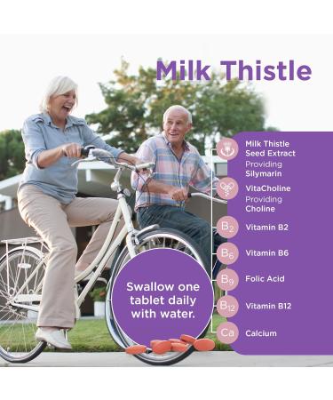 Healthspan Milk Thistle Complete (90 Tablets) | 50mg Milk Thistle Extract | with B Vitamins Calcium & Choline to Support Your Digestive Health & Liver Function | Vegan Friendly - Buy Online on GoSupps.com