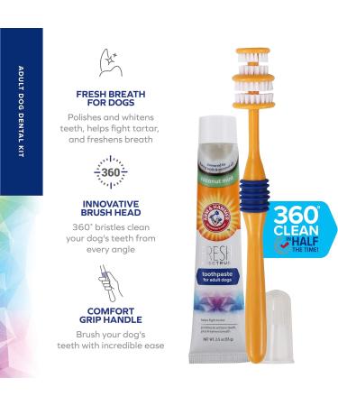 ARM & HAMMER Fresh Spectrum Coconut Dental Kit for Dogs Includes Dog Toothpaste Toothbrush & Finger Brush Removes Plaque & Tartar 360 Brush Deep Cleans all Tooth Surface Easy to Use Dog Oral Care 55 g (Pack of 1) - Buy Online on GoSupps.com