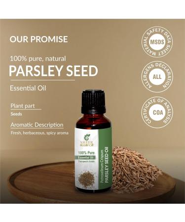 100% Pure Parsley Seed Oil - Natural Therapeutic Grade Essential Oil - Petroselinum Crispum - 1.69 Fl.Oz (50ml) - Uncut & Undiluted - Buy Online on GoSupps.com