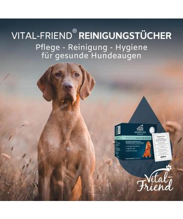 Vital-Friend Sterile Dog Eye Care Cloths - 20 Opaque Towels Preservative-Free Gentle Cleaning on the Go - Buy Online on GoSupps.com
