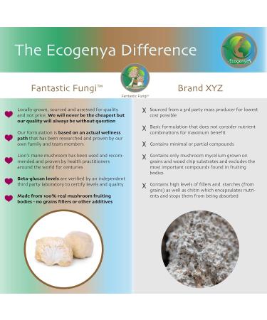 Shiitake (Lentinula Edodes) powder - Fantastic Fungi 100 grams - 3 month supply -Shiitake mushroom fruiting body powder - (Lentinula Edodes) mushroom extract Concentrated 100:1 Shiitake extract powder ready to use - Buy Online on GoSupps.com