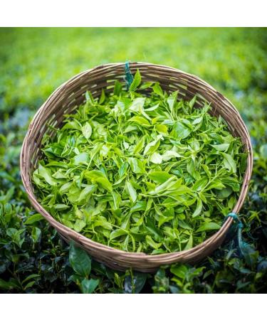 Dehing Green Tea 200g - Buy Online on GoSupps.com