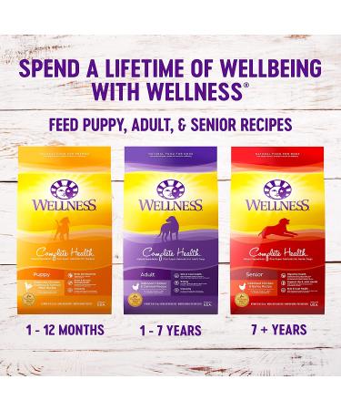 Wellness Natural Pet Food - 5 lbs. Lamb & Barley Dry Dog Food - Buy Online on GoSupps.com
